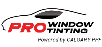 pro-windows logo