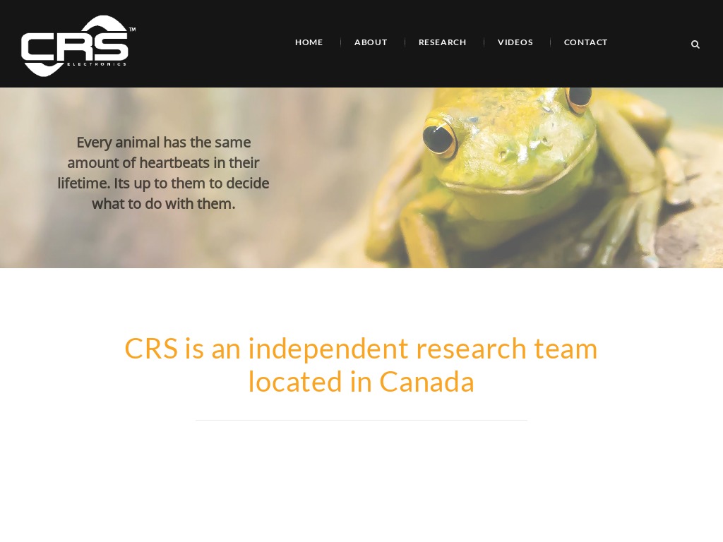 Website-crselectronics.com_.jpg