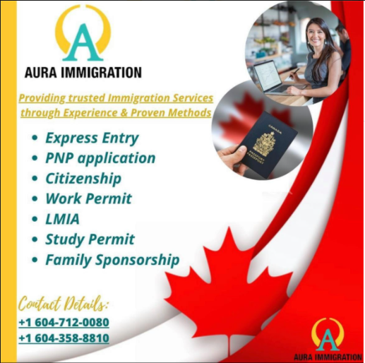 Business-Aura-Immigration.jpg