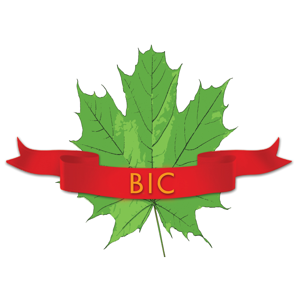 Business-BIC-Canada-Immigration.jpg