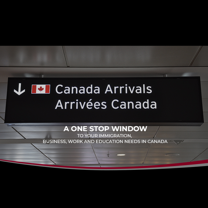 Business-Bliss-Immigration-Ltd.jpg