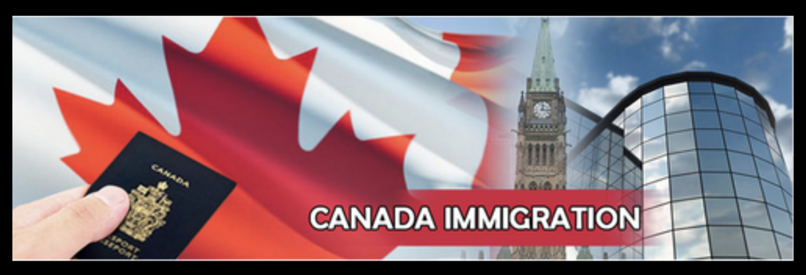 Business-Blue-Iris-Immigration-Services-Inc..jpg