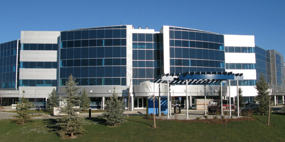 Business-Bright-Path-Immigration-Services.jpg