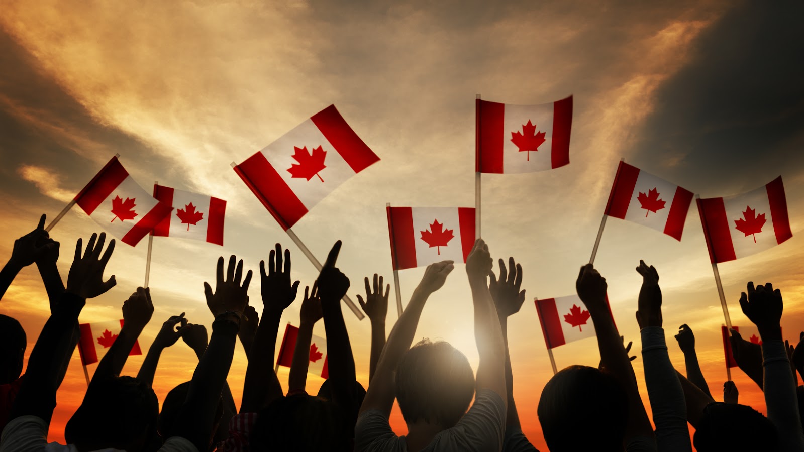 Business-CWC-Immigration-Solutions-Inc..jpg