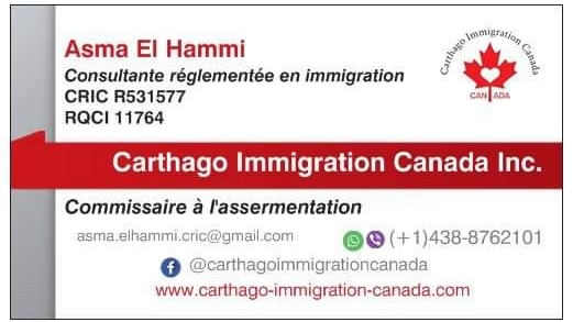 Business-Carthago-Immigration-Canada-inc..jpg