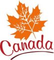 Business-Cosmos-Consulting-Immigration-Services.jpg