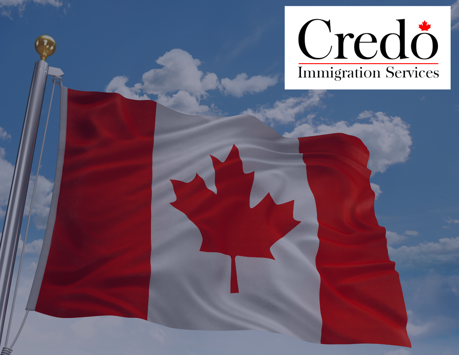 Business-Credo-Immigration-Services.jpg
