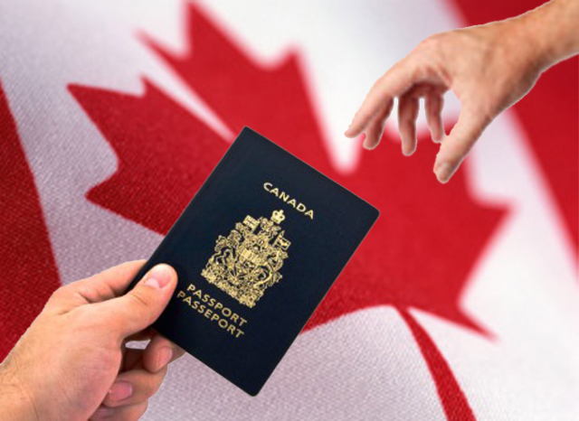Business-Farah-Immigration.jpg