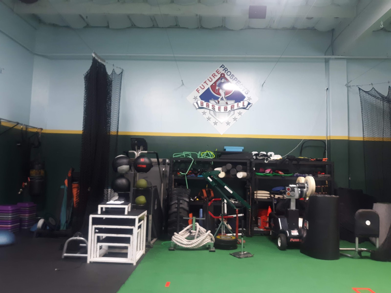 Business-Future-Prospects-Instructional-Baseball.jpg