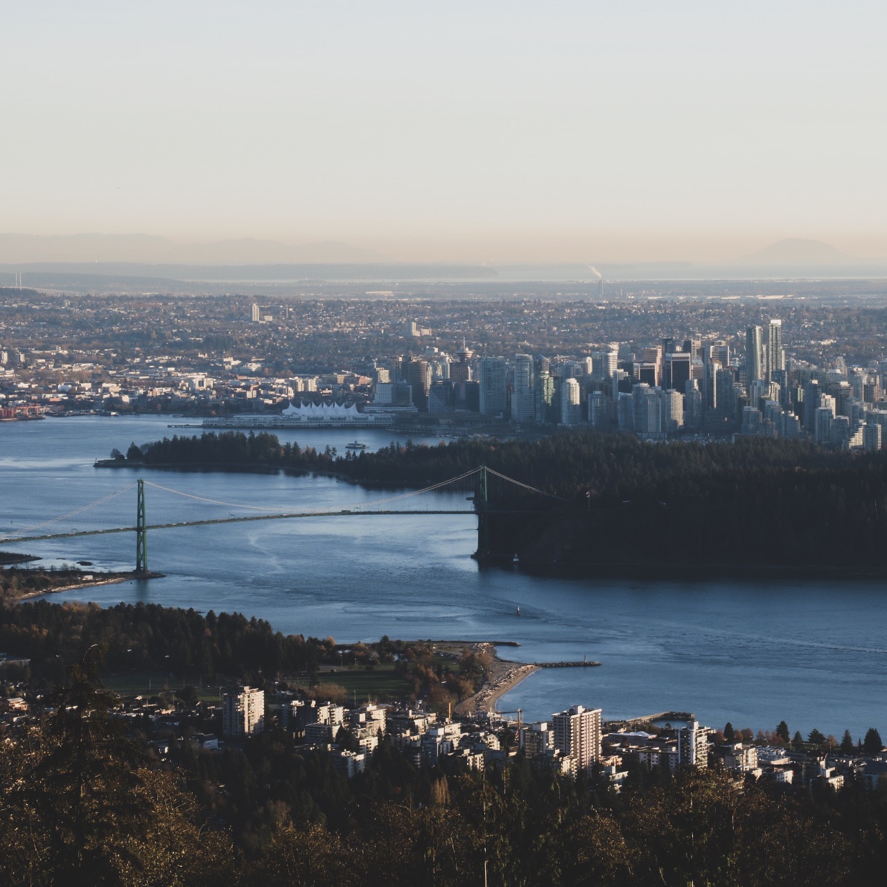 Business-IPR-Immigration-Canada-Ltd..jpg