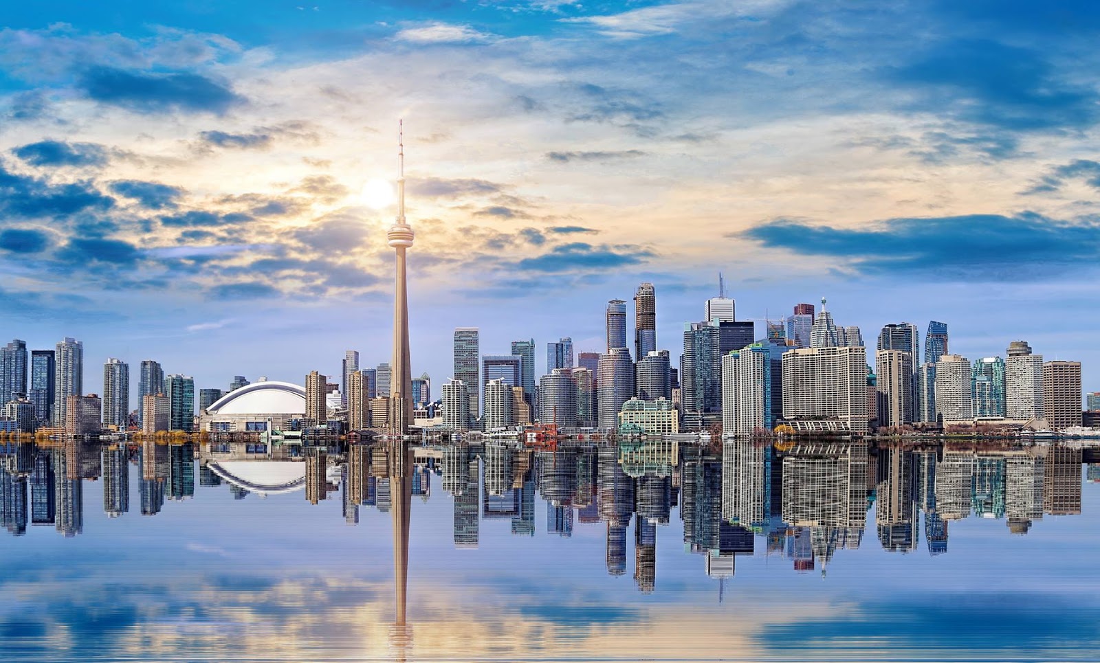 Business-IVEY-Immigration-Employment-Services-Inc..jpg