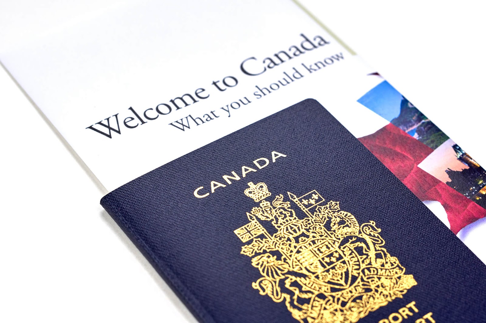 Business-Immigration-Nation-Immigration-Consultant-Edmonton.jpg