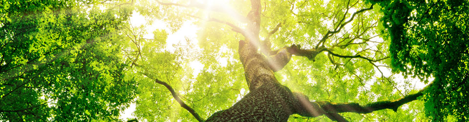 Business-Kuldip-Counselling-and-Consulting.jpg