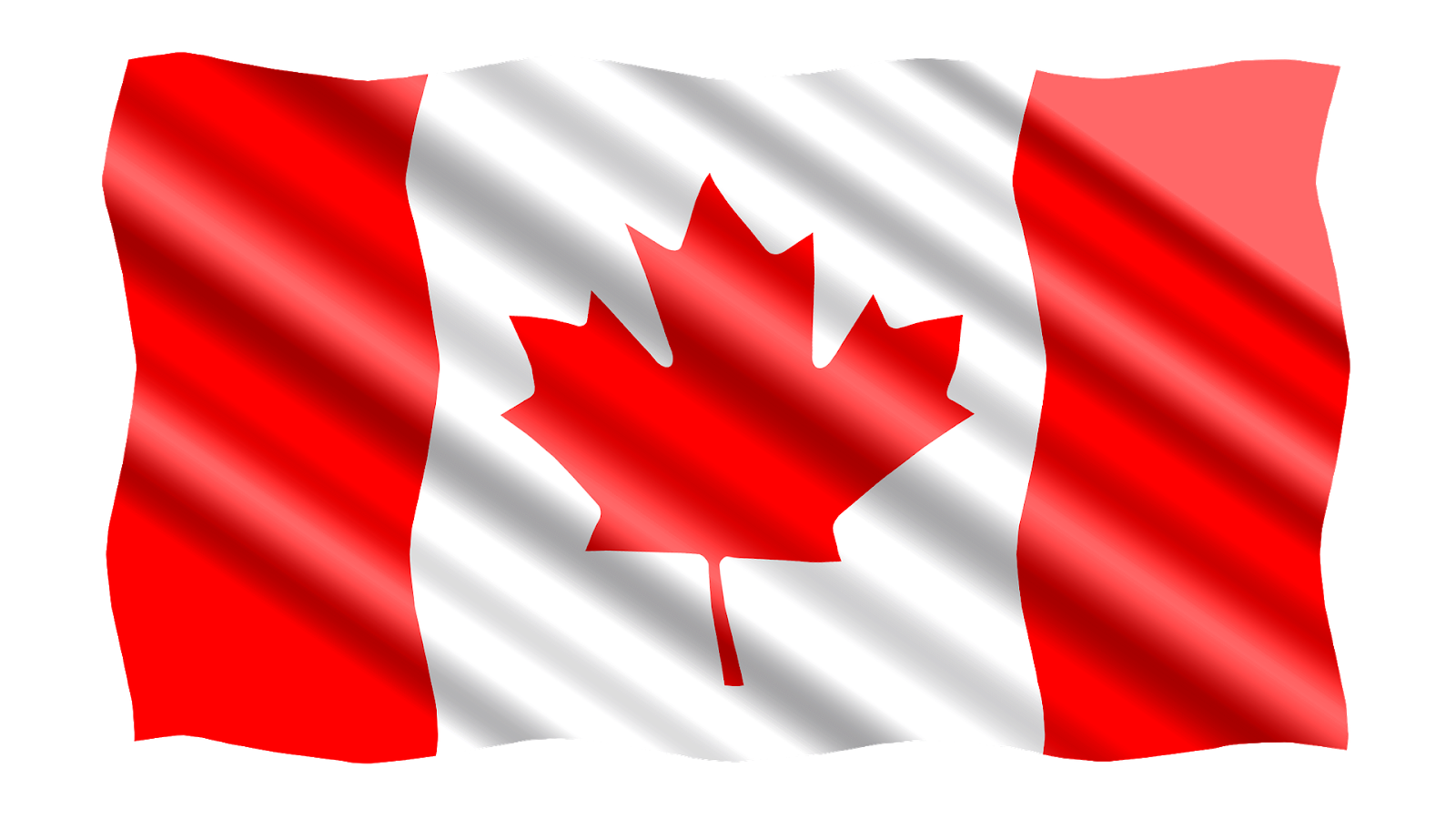 Business-Mesidor-Canadian-Immigration-Services.jpg
