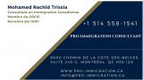 Business-Pro-Immigration-Consultant.jpg