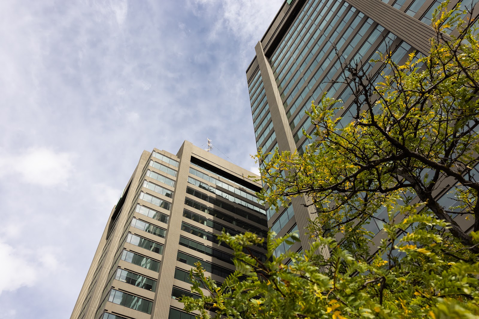 Business-Siskinds-LLP.jpg