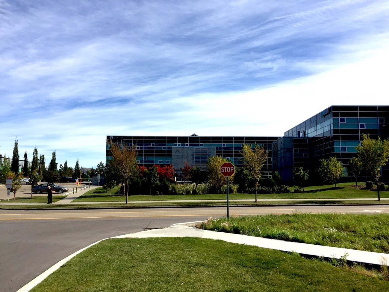 Business-TopNation-Immigration-Services-Consulting-Edmonton.jpg