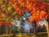 Business-University-of-Victoria.jpg