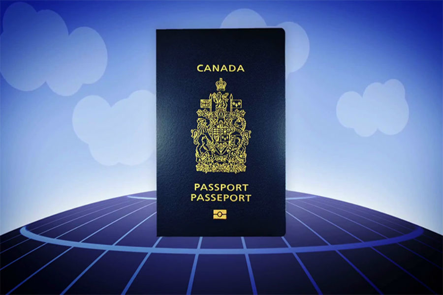 Business-Viaus-Immigration-Consulting-Services.jpg