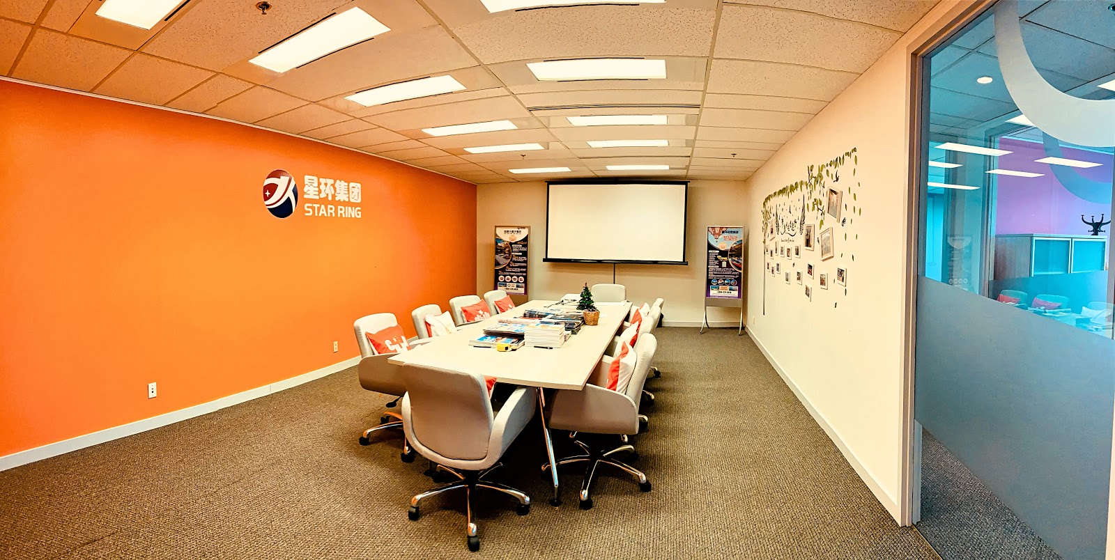 Business-星环移民-Star-Ring-Immigration.jpg