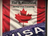 Business-Ziai-Associates-Immigration-Consulting.jpg