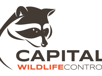 CapitalWildlifeControl_logo-01