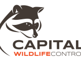CapitalWildlifeControl_logo-01