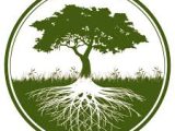 Croft Tree Experts