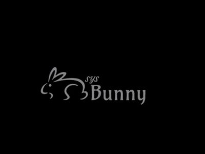 Logo-Sysbunny-500x500