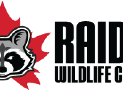 raider-logo