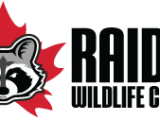 raider-logo
